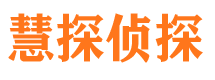 兴海市侦探公司